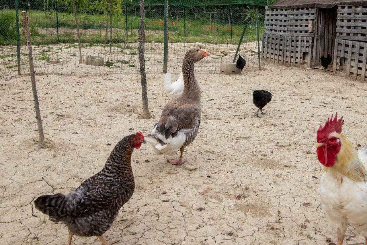 Farm stay Casale Rancaglia Gubbio