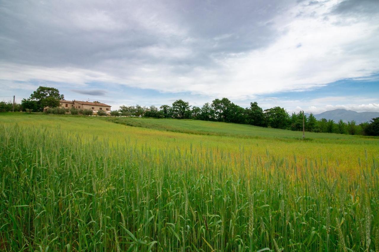 Casale Rancaglia